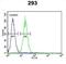 Potassium voltage-gated channel subfamily KQT member 1 antibody, abx034169, Abbexa, Flow Cytometry image 