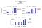 Mediator Complex Subunit 19 antibody, PA5-44383, Invitrogen Antibodies, Chromatin Immunoprecipitation image 
