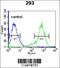 Lysyl-TRNA Synthetase antibody, 55-623, ProSci, Immunofluorescence image 
