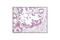 Histone Deacetylase 3 antibody, 3815S, Cell Signaling Technology, Immunohistochemistry paraffin image 