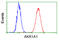Alcohol dehydrogenase [NADP+] antibody, GTX84913, GeneTex, Flow Cytometry image 