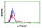 Cytochrome P450 Family 2 Subfamily J Member 2 antibody, TA503483, Origene, Flow Cytometry image 