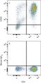 SPN antibody, FAB2038P, R&D Systems, Flow Cytometry image 