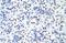 Heterogeneous nuclear ribonucleoprotein U-like protein 1 antibody, GTX49009, GeneTex, Immunohistochemistry paraffin image 