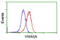 Von Willebrand Factor A Domain Containing 5A antibody, GTX83420, GeneTex, Flow Cytometry image 