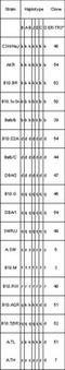 MHC class II-associated invariant chain antibody, BM4094S, Origene, Flow Cytometry image 