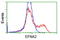 Elf1 antibody, LS-C115431, Lifespan Biosciences, Flow Cytometry image 