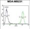 Protein chibby homolog 1 antibody, PA5-49667, Invitrogen Antibodies, Flow Cytometry image 