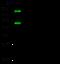 Cadherin 13 antibody, 51163-T52, Sino Biological, Western Blot image 