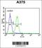 DNA repair protein XRCC1 antibody, 61-969, ProSci, Flow Cytometry image 