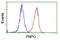 Pyridoxamine 5'-Phosphate Oxidase antibody, NBP2-45361, Novus Biologicals, Flow Cytometry image 