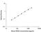 Receptor for advanced glycation end products antibody, MRG00, R&D Systems, Enzyme Linked Immunosorbent Assay image 