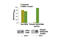Erb-B2 Receptor Tyrosine Kinase 4 antibody, 13125S, Cell Signaling Technology, Enzyme Linked Immunosorbent Assay image 