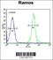 Family With Sequence Similarity 133 Member A antibody, 55-814, ProSci, Flow Cytometry image 