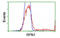 Ribophorin I antibody, MBS833690, MyBioSource, Flow Cytometry image 