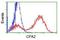 Carboxypeptidase A2 antibody, NBP2-01992, Novus Biologicals, Flow Cytometry image 