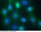 S100 Calcium Binding Protein A9 antibody, 11145-MM01, Sino Biological, Immunohistochemistry frozen image 