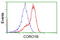 Coronin 1B antibody, TA501573, Origene, Flow Cytometry image 