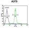 APOBEC1 Complementation Factor antibody, abx025836, Abbexa, Flow Cytometry image 