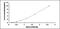 Protoporphyrinogen Oxidase antibody, MBS2021594, MyBioSource, Enzyme Linked Immunosorbent Assay image 