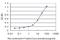 Kinesin Family Member 26A antibody, H00026153-M01, Novus Biologicals, Enzyme Linked Immunosorbent Assay image 