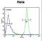 Keratin, type II cytoskeletal 78 antibody, LS-C165394, Lifespan Biosciences, Flow Cytometry image 