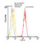 60 kDa heat shock protein, mitochondrial antibody, ADI-SPA-807PE-D, Enzo Life Sciences, Flow Cytometry image 