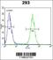 Endosulfine Alpha antibody, 55-188, ProSci, Immunofluorescence image 