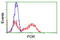 Cytochrome P450 Oxidoreductase antibody, TA500600, Origene, Flow Cytometry image 