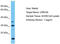 Leucine Rich Repeat Containing 46 antibody, TA337421, Origene, Western Blot image 