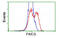 PAICS antibody, MBS832682, MyBioSource, Flow Cytometry image 