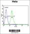 Ribosomal Protein L31 antibody, 63-993, ProSci, Flow Cytometry image 