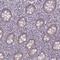 Nudix Hydrolase 16 antibody, NBP2-37976, Novus Biologicals, Immunohistochemistry frozen image 