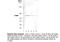 mtHSP70 antibody, LS-C63284, Lifespan Biosciences, Western Blot image 