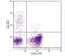 CD1 antibody, NBP1-28223, Novus Biologicals, Flow Cytometry image 