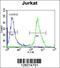 Zinc Finger Protein 841 antibody, 55-871, ProSci, Flow Cytometry image 