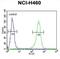 Zinc Finger Protein 473 antibody, abx034498, Abbexa, Flow Cytometry image 
