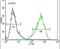 Homeobox And Leucine Zipper Encoding antibody, PA5-24260, Invitrogen Antibodies, Flow Cytometry image 