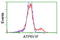 ATPase H+ Transporting V1 Subunit F antibody, TA502279, Origene, Flow Cytometry image 
