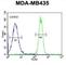 SAGA-associated factor 29 homolog antibody, abx032424, Abbexa, Western Blot image 