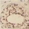 HNF-3A antibody, FNab03187, FineTest, Immunohistochemistry frozen image 