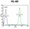 Developmental pluripotency-associated 5 protein antibody, LS-C167523, Lifespan Biosciences, Flow Cytometry image 