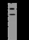 Glypican-3 antibody, 100393-T34, Sino Biological, Western Blot image 