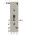 SGK antibody, ADI-KAP-PK015-F, Enzo Life Sciences, Western Blot image 