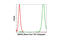 GAPDH antibody, 3907S, Cell Signaling Technology, Flow Cytometry image 