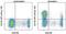 CD40 Ligand antibody, 47-1548-42, Invitrogen Antibodies, Flow Cytometry image 