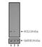 BCL2 Related Protein A1 antibody, MA5-11757, Invitrogen Antibodies, Western Blot image 