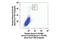 Aurora Kinase A antibody, 8525S, Cell Signaling Technology, Flow Cytometry image 
