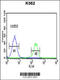 Pro-Melanin Concentrating Hormone antibody, 61-963, ProSci, Immunofluorescence image 