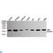 GAPDH antibody, LS-C812979, Lifespan Biosciences, Western Blot image 